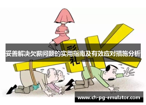 妥善解决欠薪问题的实用指南及有效应对措施分析