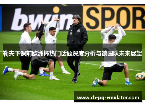 勒夫下课前欧洲杯热门话题深度分析与德国队未来展望